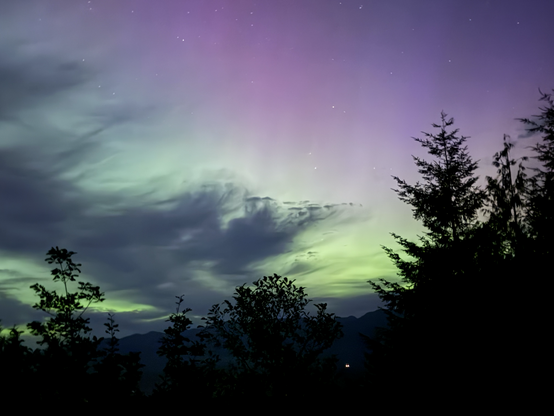 Green and yellow aurora, with some reddish pink near the top, above trees.