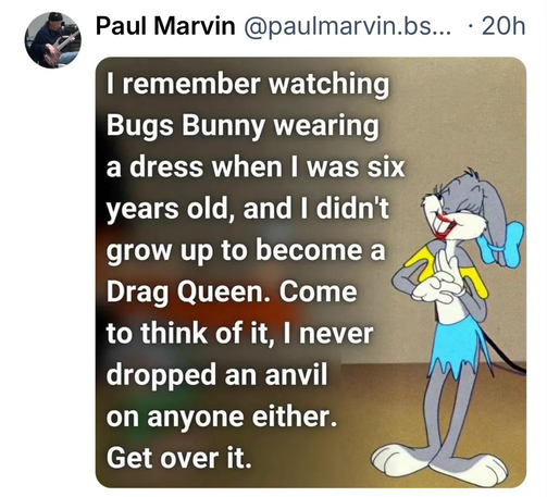 It's an image of Bugs Bunny in drag along with this message:


| remember watching
Bugs Bunny wearing
a dress when | was six
years old, and | didn't
grow up to become a
Drag Queen.
to think of it, | never
dropped an anvil
on anyone either.
Get over it.