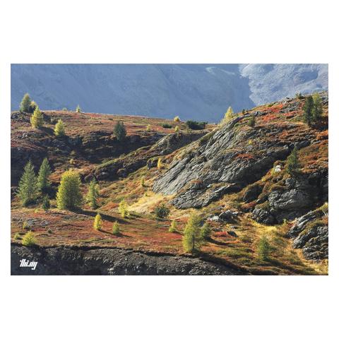 A high alpine landscape showing a small plateau of rocks overgrown with mosses, small bushes and some isolated larch trees, all in beautifully rich autumn colors. The dense carpet of tundra life is interrupted by erosion and cliffs in the foreground, exposing just how thin and fragile that layer of top soil and vegetation actually is. Talus fields and bare rock higher up in the hazy background.