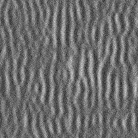 A grayscale image of dune-like striped patterns.